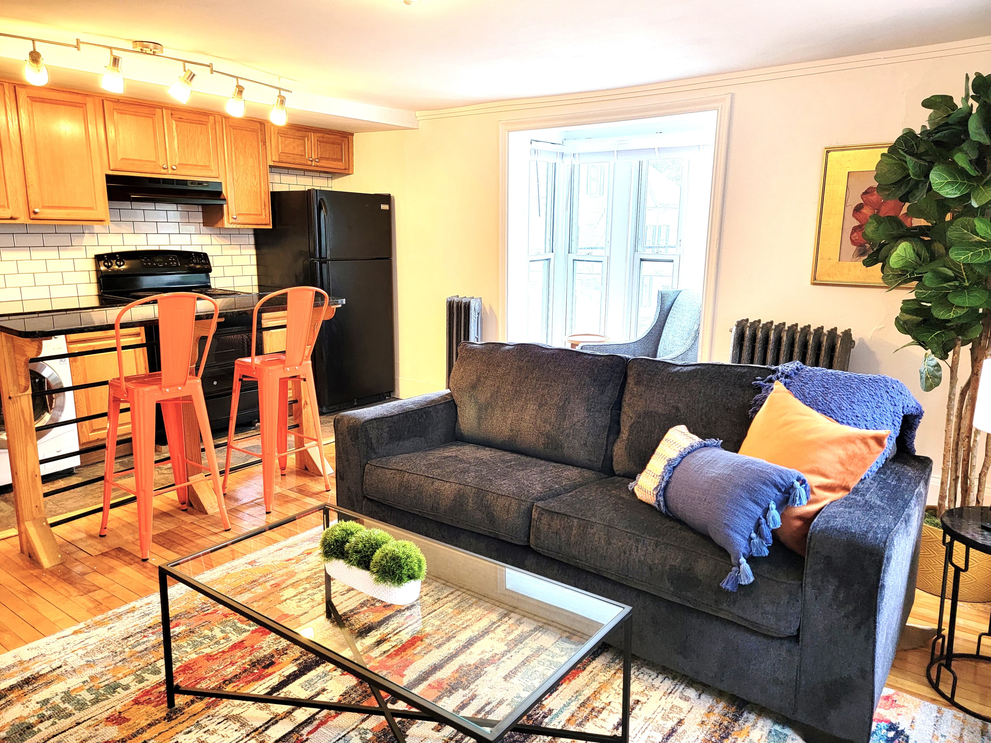 Furnished Lotus apartment living room and kitchen