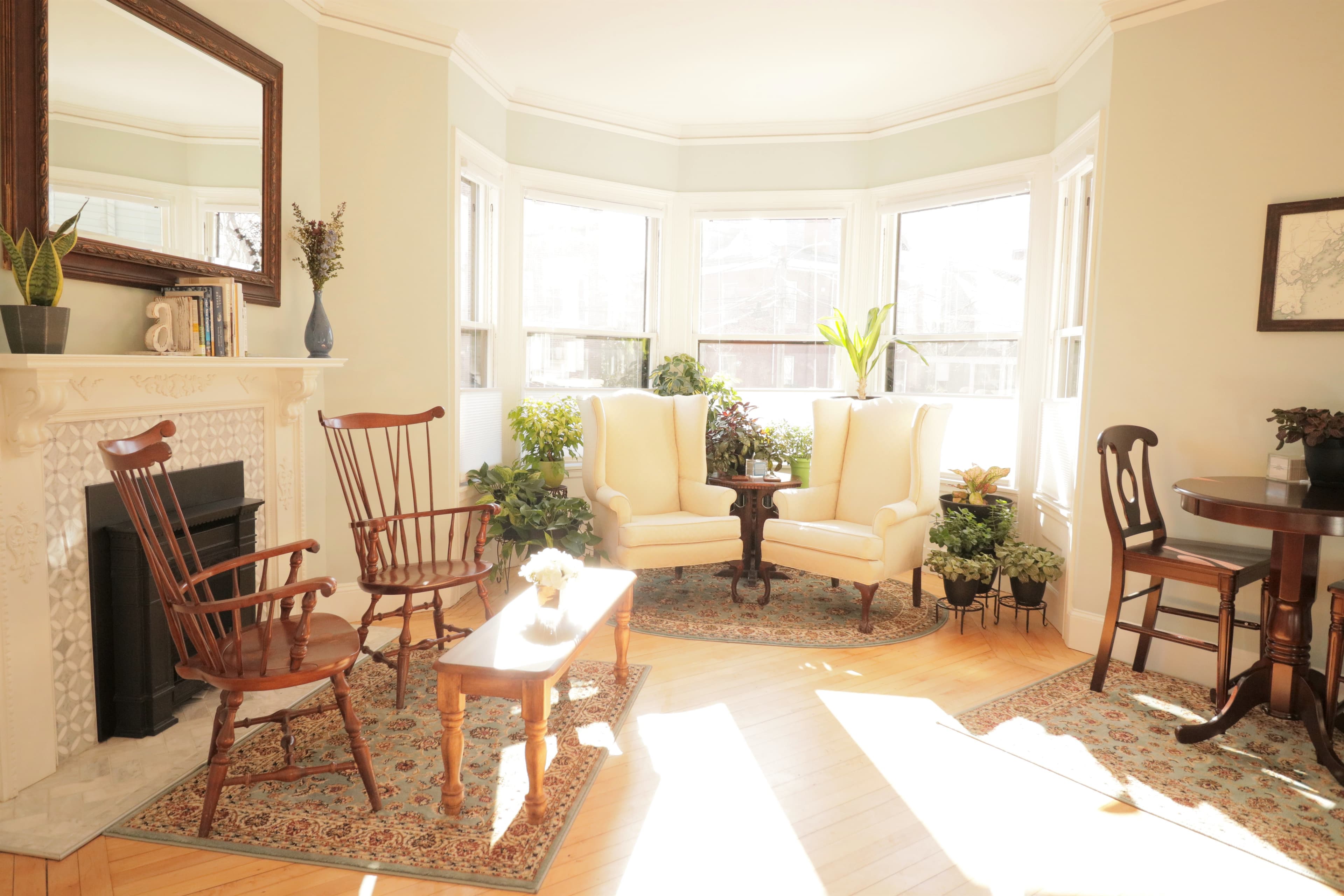 Sunny Lotus apartment living room in Portland, Maine