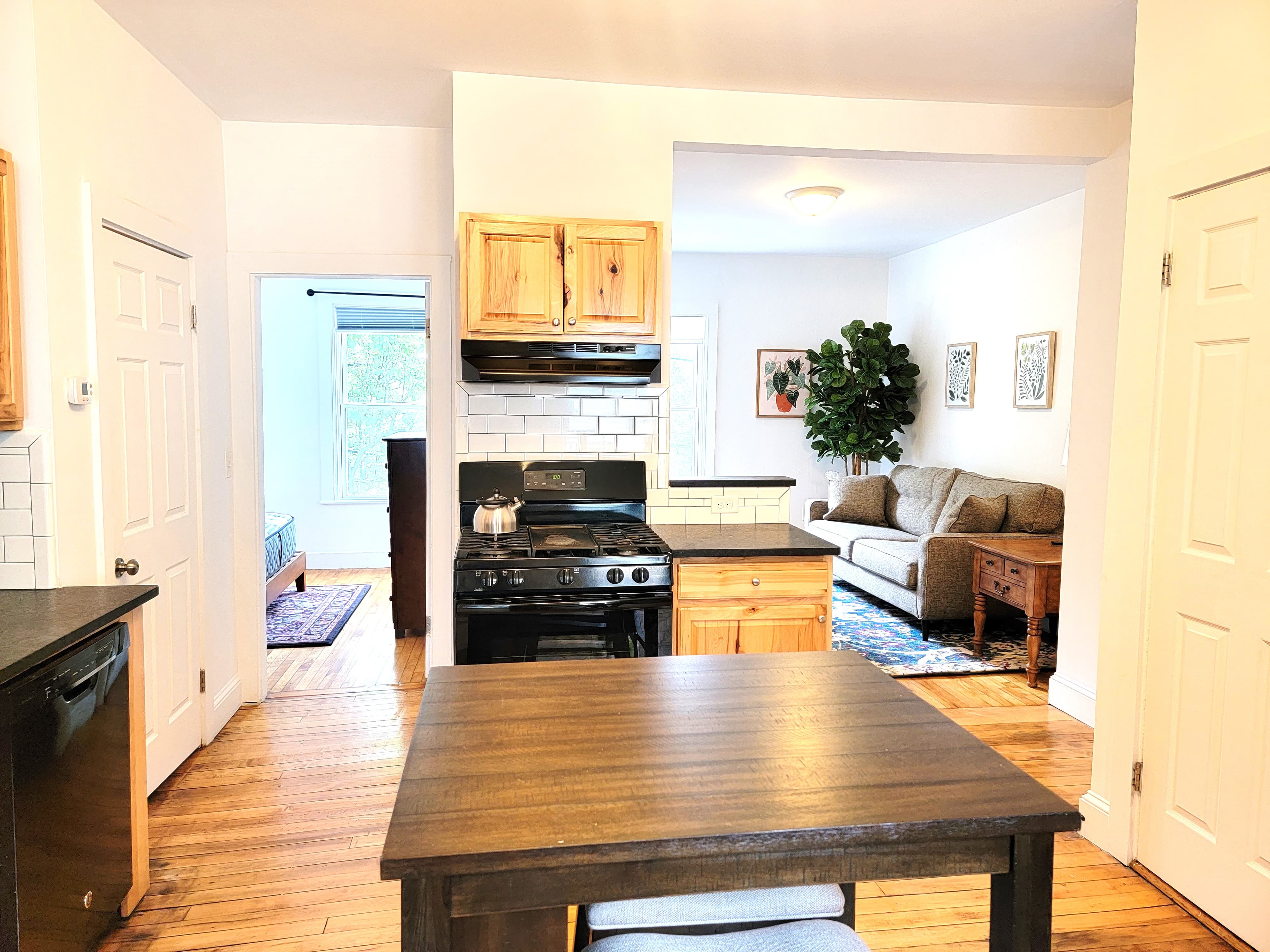 Bright Lotus apartment kitchen and living area